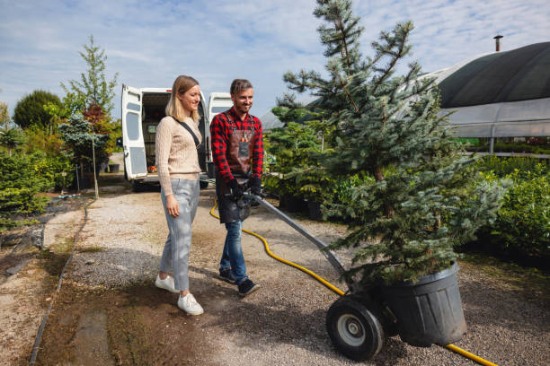 Tree Service Company in Mangonia Park, FL